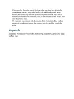 Andersons pediatric cardiology 86 