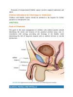 Pediatric emergency medicine trisk 3325 3325 