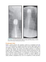 Pediatric emergency medicine trisk 4078 4078 