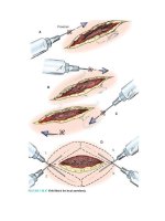 Pediatric emergency medicine trisk 1113 