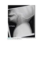 Pediatric emergency medicine trisk 1502 1502 