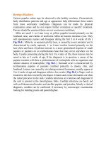 Pediatric emergency medicine trisk 2476 2476 