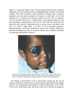 Pediatric emergency medicine trisk 4547 4547 