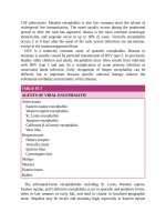 Pediatric emergency medicine trisk 2634 2634 