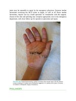 Pediatric emergency medicine trisk 3344 3344 