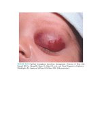 Pediatric emergency medicine trisk 2484 2484 