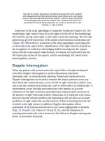 Andersons pediatric cardiology 810 