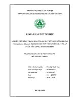 Tài liệu Nghiên cứu tình trạng bảo tồn quần thể Voọc mông trắng (Trachypithecus delacouri)