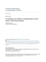 The Challenges and Limitations of Adapting Mozarts Così fan tutt