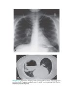 Pediatric emergency medicine trisk 4098 4098 