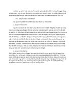 nghiên cứu liên quan đến định hướng công nghệ  0020