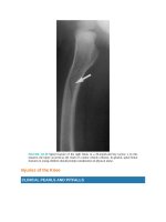 Pediatric emergency medicine trisk 3498 3498 