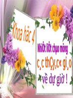 Trao doi chat o thuc vat 