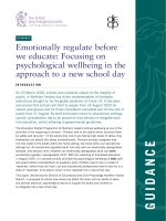 Psychological wellbeing in the approach to a new school day (DECP NI)