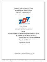 MÔN học NGUYÊN lý MARKETING đề tài PHÂN TÍCH CHIẾN lược MARKETING MIX mì hảo hảo của CÔNG TY ACECOOK tại THỊ TRƯỜNG VIỆT NAM 