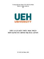 TIỂU LUẬN KẾT THÚC HỌC PHẦN MÔN KINH TẾ CHÍNH TRỊ MÁC LÊNIN