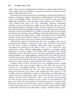 The palgrave international handbook of a 56 