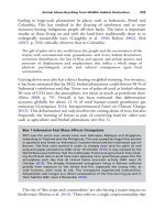 The palgrave international handbook of a 257 