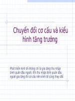 Chuyển đổi cơ cấu và kiểu hình tăng trưởng