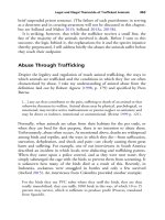 The palgrave international handbook of a 461 