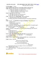 bo de on tap thi hoc sinh gioi lop 4 mon tieng viet 