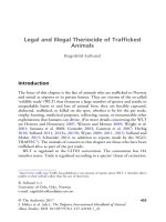 The palgrave international handbook of a 451 