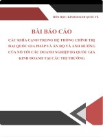 Các khía cạnh trong hệ thống chính trị hai quốc gia pháp và ấn độ và ảnh hướng của nó tới các doanh nghiệp đa quốc gia kinh doanh tại các thị trường 