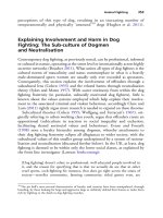 The palgrave international handbook of a 355 