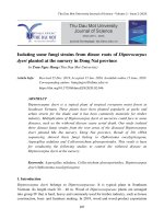Isolating some fungi strains from diease roots of dipterocarpus dyeri planted at the nursery in dong nai province 