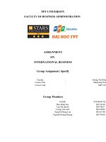ASSIGNMENT ON INTERNATIONAL BUSINESS group assignment spotify 
