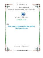 TIỂU LUẬN Đề tài Thực trạng vệ sinh an toàn thực phẩm ở Việt Nam hiện nay