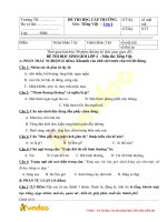 de thi hsg mon tieng viet lop 4 co dap an 