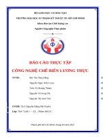 BÁO cáo THỰC tập CÔNG NGHỆ CHẾ BIẾN LƯƠNG THỰC 