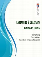 Bonnie-Hacking-UNI-OF-ST-ANDREWS-IEEC_2013