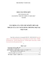 TÁC ĐỘNG CỦA VỐN CHỦ SỞ HỮU ĐẾN LỢI NHUẬN CỦA CÁC NGÂN HÀNG THƯƠNG MẠI TẠI VIỆT NAM