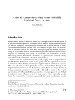 The palgrave international handbook of a 253 