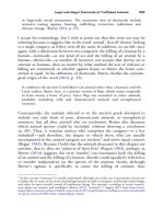 The palgrave international handbook of a 453 