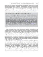 The palgrave international handbook of a 261 