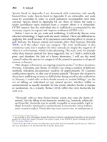 The palgrave international handbook of a 452 