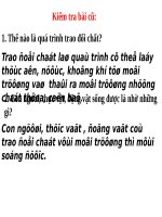trao doi chat o nguoi tiep theo lop 4 49201819 