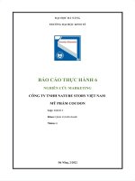 Nghiên cứu marketing mỹ phẩm cocoon của  công ty TNHH mỹ phẩm nature story việt nam 