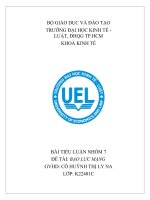 TIỂU LUẬN NHÓM 7 ĐỀ TÀI BẠO LỰC MẠNG