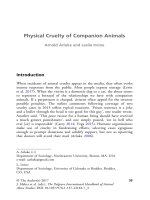 The palgrave international handbook of a 51 