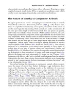 The palgrave international handbook of a 53 