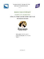 Nghiên cứu chiến lược marketing mỹ phẩm cocoon của  công ty TNHH mỹ phẩm nature story việt nam 