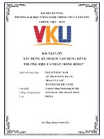 BÀI tập lớn xây DỰNG kế HOẠCH tạo DỰNG KÊNH THƯƠNG HIỆU cá NHÂN BỒNG BÔNG 