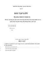 Đề bài vận dụng quy luật cạnh tranh trong nền kinh tế thị trường nghiên cứu sự cạnh tranh trong thị trường viễn thông nội địa ở việt nam 