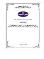 Phân tích chiến lược kinh doanh công ty cổ phần thực phẩm hữu nghị (HUUNGHI FOOD) 