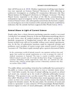 The palgrave international handbook of a 401 