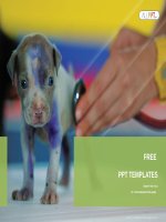 ( mẫu powerpoint ) veterinarian checking up sick dog with stethoscope in vet clinic powerpoint templates standard 